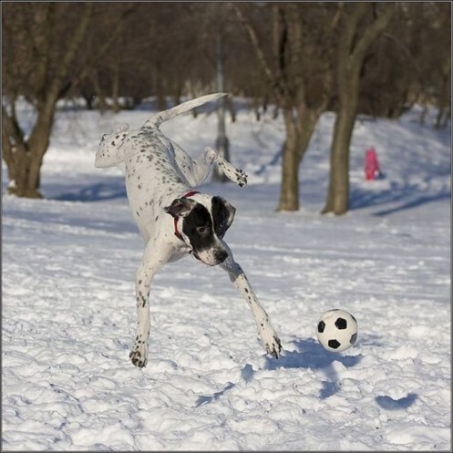 Машулька Фролова | Владимир