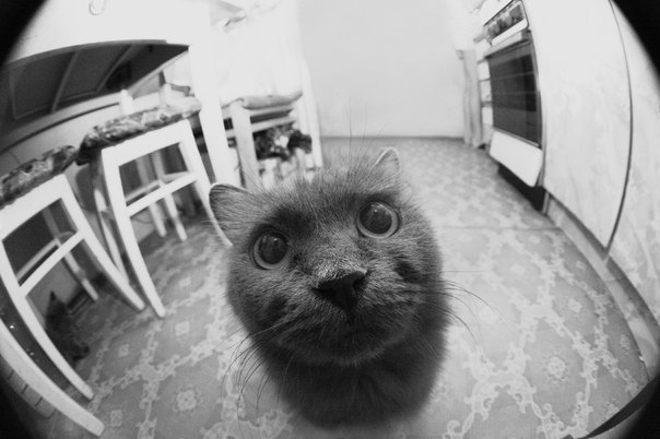 Аня Стаценко | Кропоткин