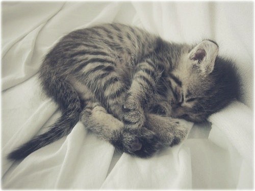 Юля Подкопаева | Минск