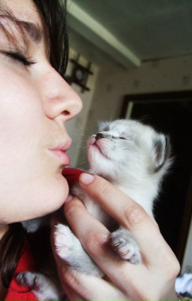 №6, Леля Суркова №6, Леля Суркова