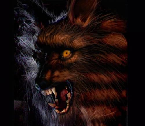 Александр Селявин | Великий Новгород