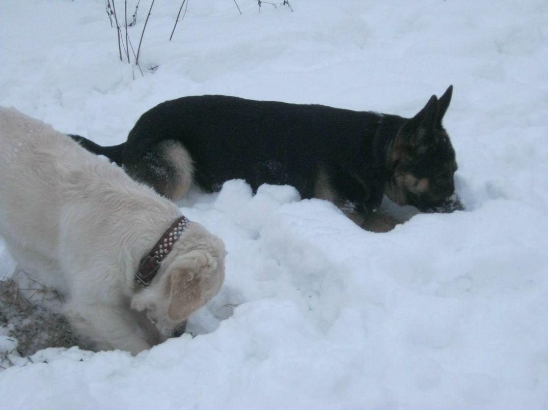 Елена Острова | Санкт-Петербург