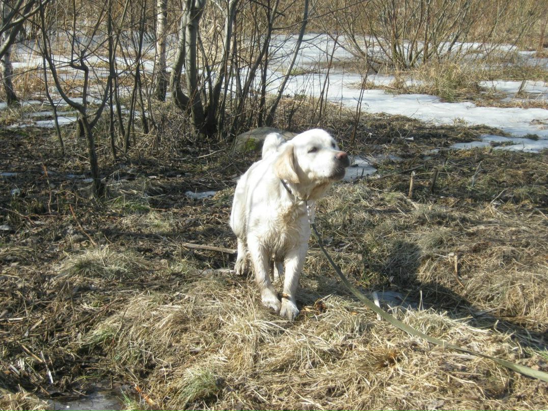 Елена Острова | Санкт-Петербург
