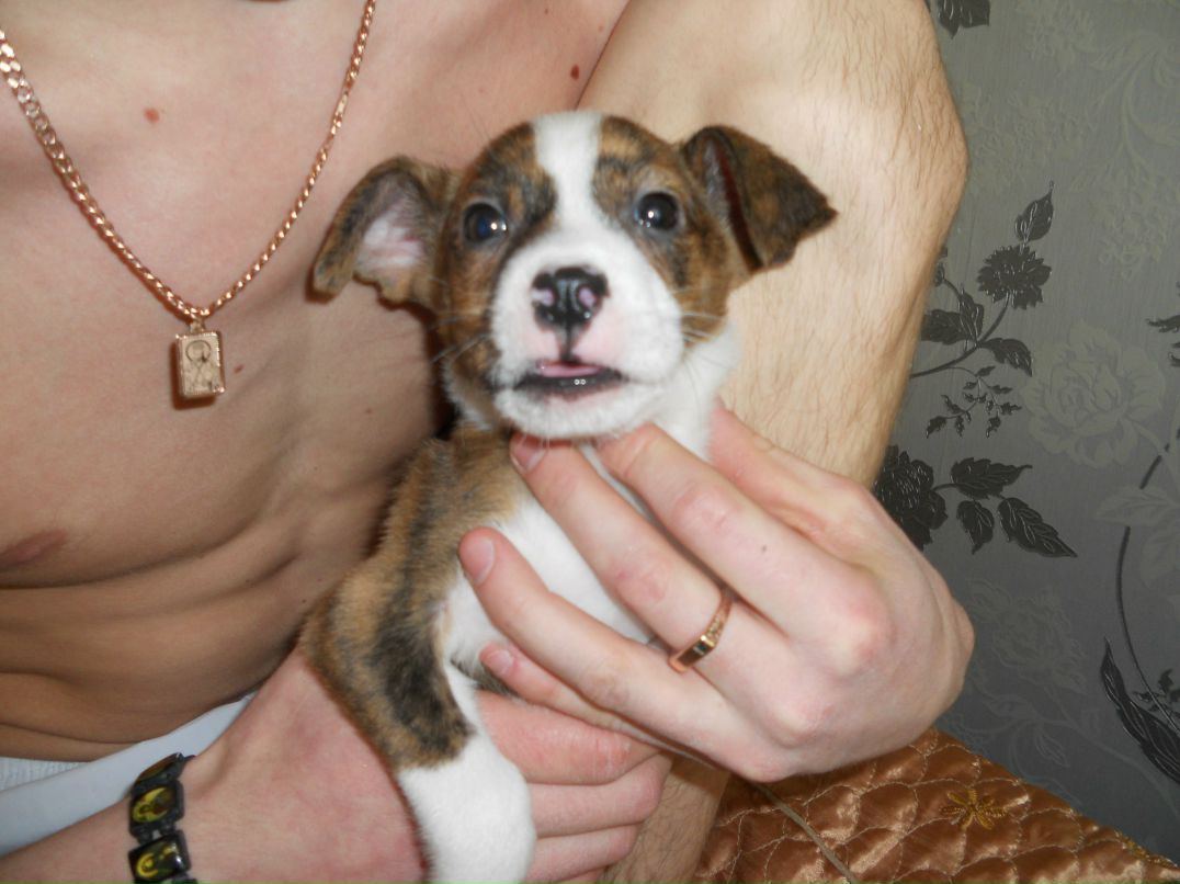 Артем Баглаев | Красноярск