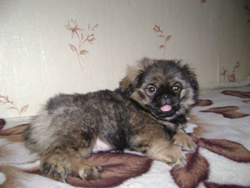 Аня Аркашова | Москва