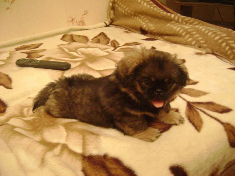 Аня Аркашова | Москва