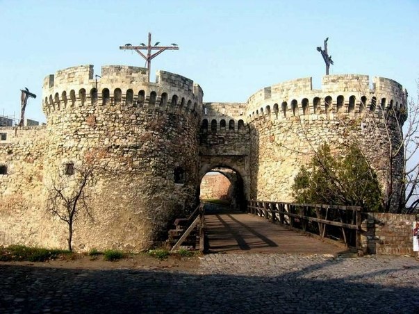 №130, Никола Попович, Beograd №130, Никола Попович, Beograd