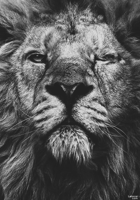 Lina Logacheva ♥ | Киев