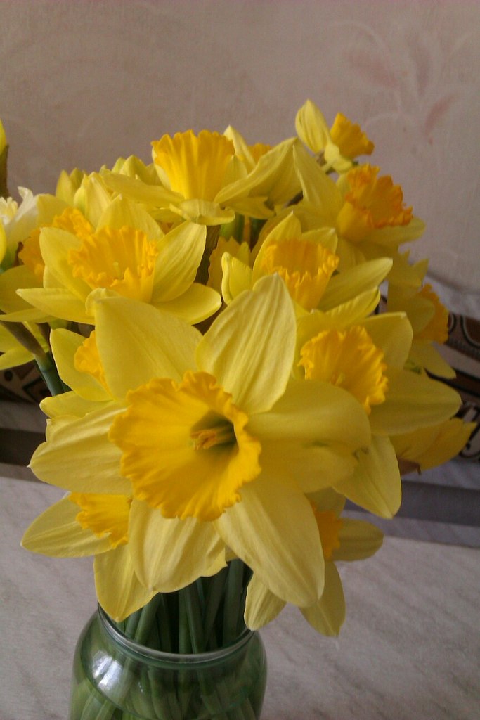 Юлия Морозова Викторовна | Волжский