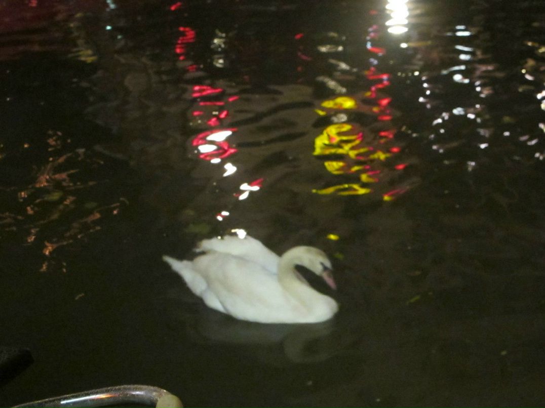 Никита Пичкалёв | Пермь