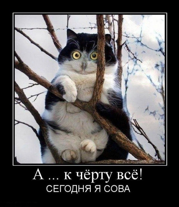 Вероника Егошина | Зеленоград