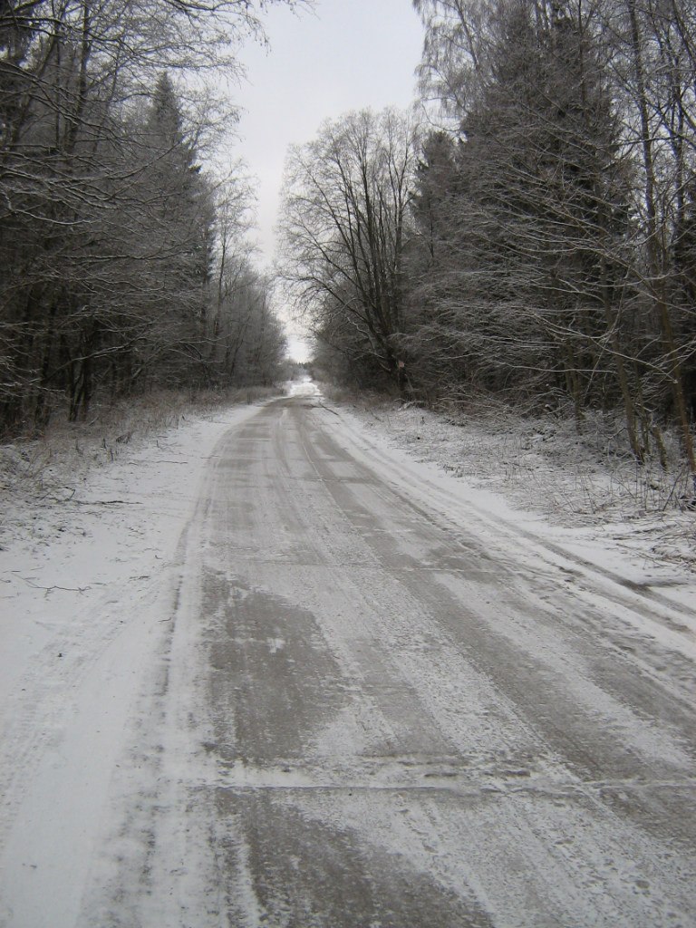 Андрей Коротаев | Санкт-Петербург