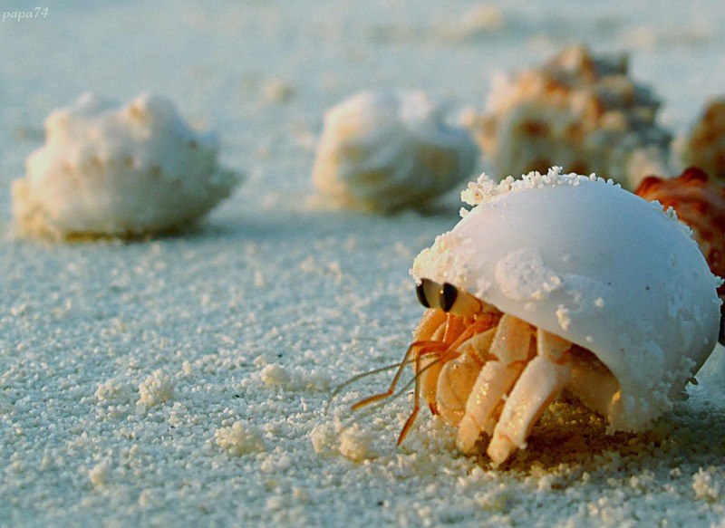 Анастасия Федорова | 