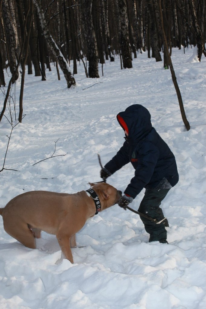 Елена Мозгина | Москва