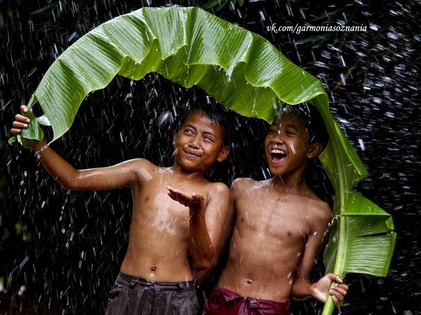 Тая Дальневосточная | Санкт-Петербург