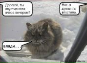 №11 Оля Смирнова : профиль, фото, статус - ВКонтакте