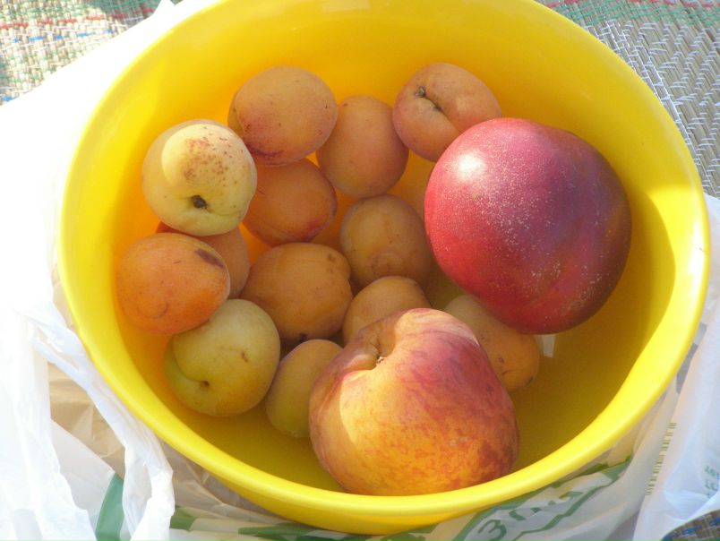 №148, Александра Андрусенко, 37 лет, Киев №148, Александра Андрусенко, 37 лет, Киев