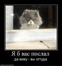 №34 Елена Шашина : профиль, фото, статус - ВКонтакте