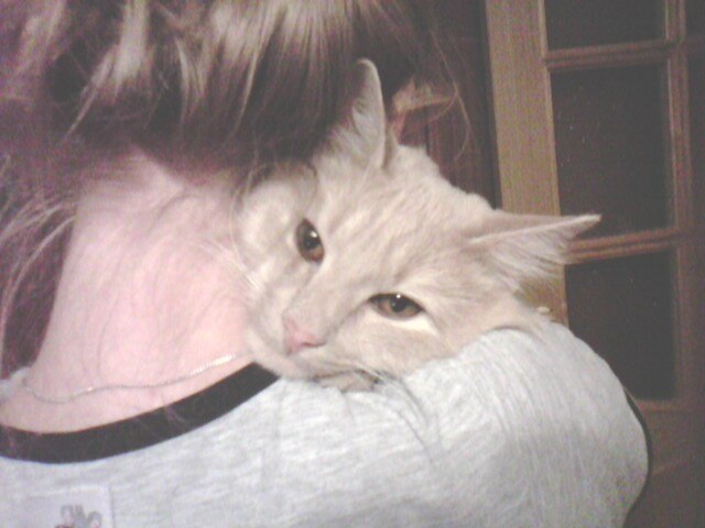 Екатерина Андрианова | Санкт-Петербург