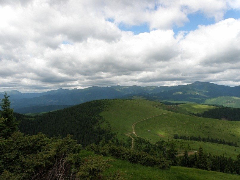 Наталія Тацишин-Войчишин | Ивано-Франковск