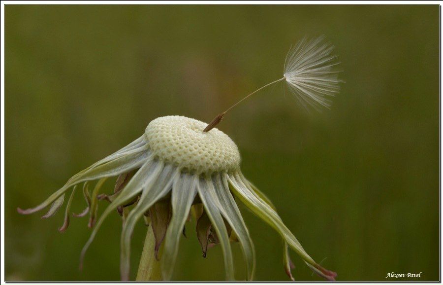 Вика Босакова | Санкт-Петербург
