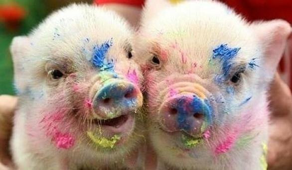 №3, Илья Лимачко №3, Илья Лимачко