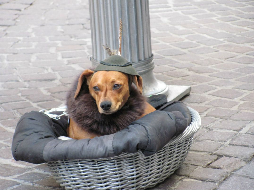 Андрей Ковальчук | 