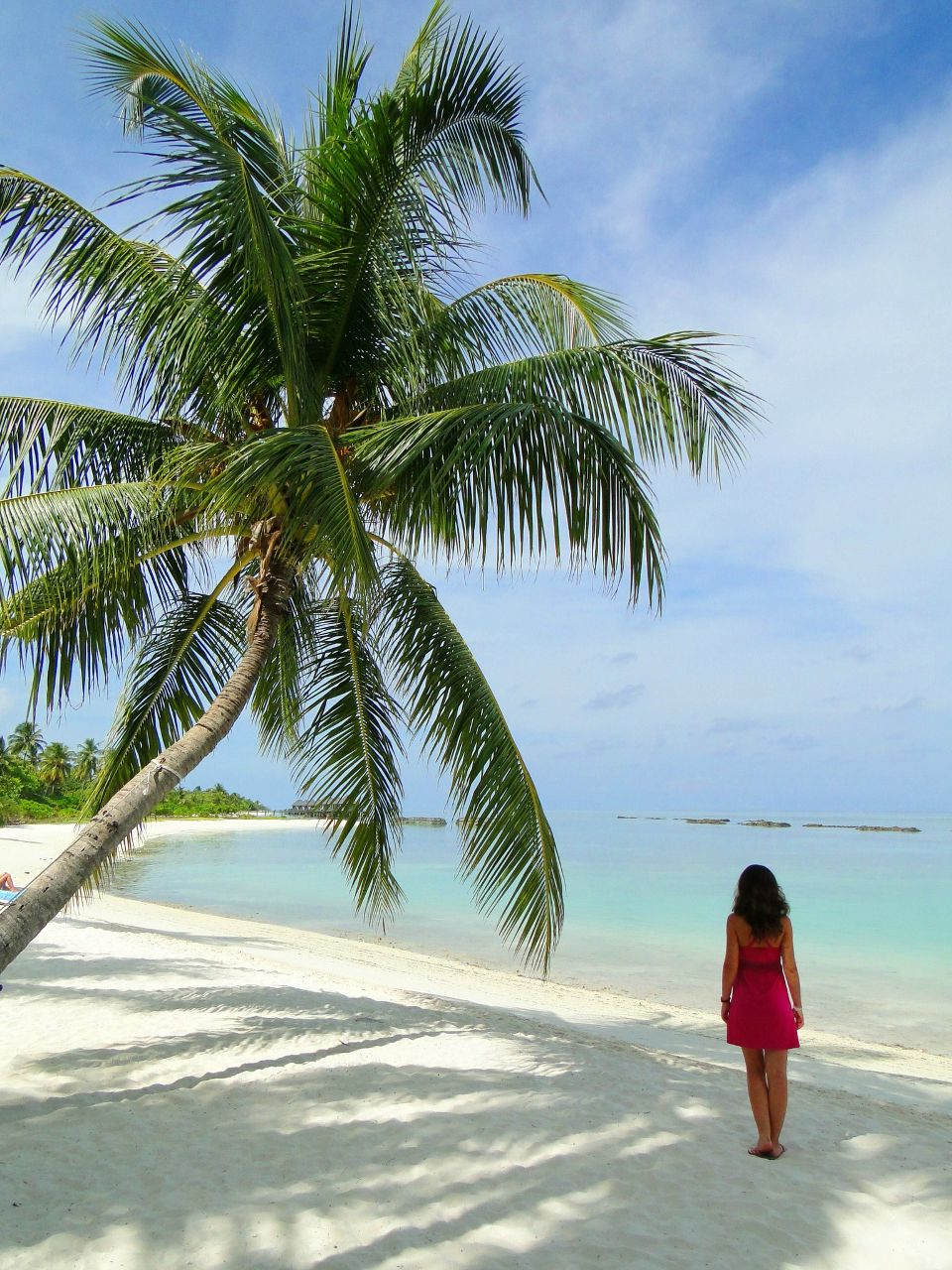 Танюша Гайдай | Вишневое