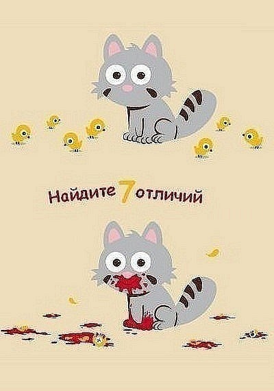 №11, Анастасия Гусак №11, Анастасия Гусак