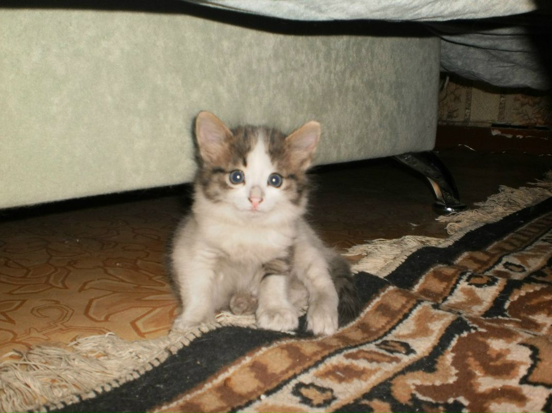 Зинаида Гусева | Макеевка