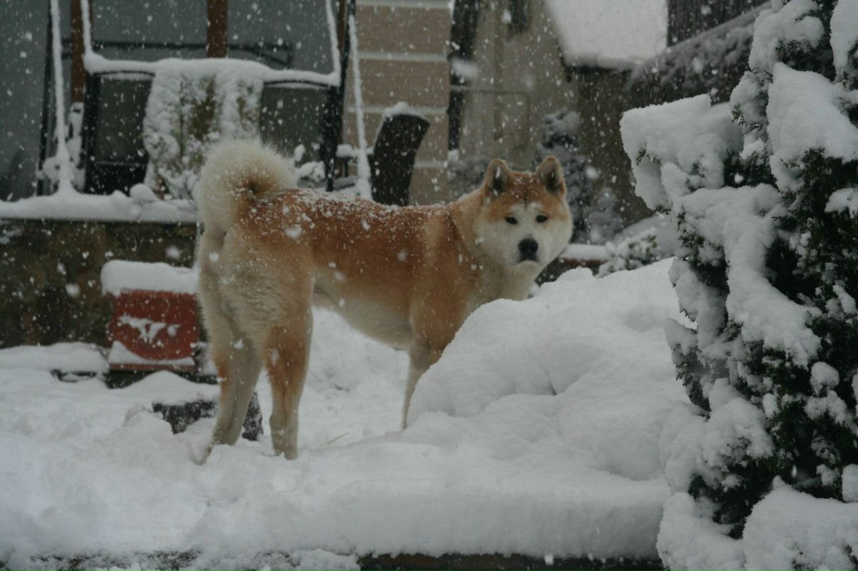 Максим Сабетьев Макс | Симферополь