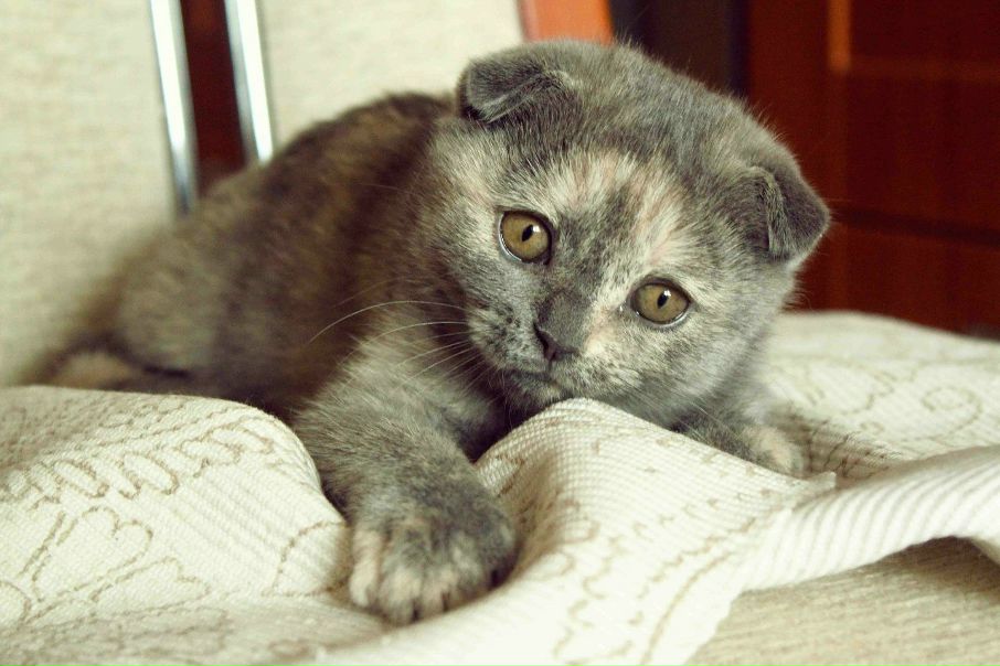 №110, Ксения Когут, Санкт-Петербург №110, Ксения Когут, Санкт-Петербург