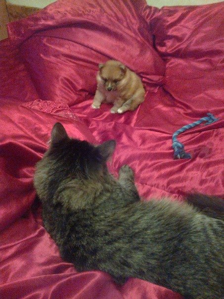 Надежда Голинченко °~•~ЦветочеК~•~° | Москва