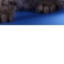 №7, Наталья Непомилуева №7, Наталья Непомилуева