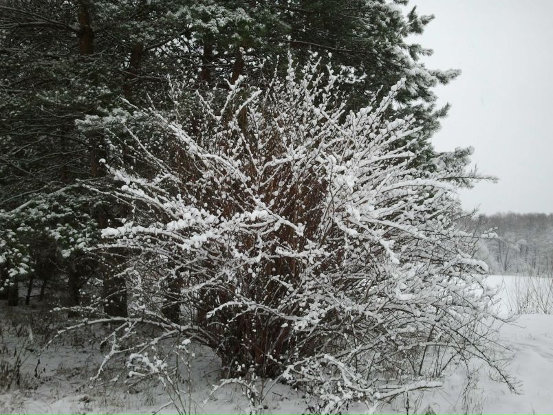 №172, Ксения Климова, 34 года, Москва, Россия №172, Ксения Климова, 34 года, Москва, Россия