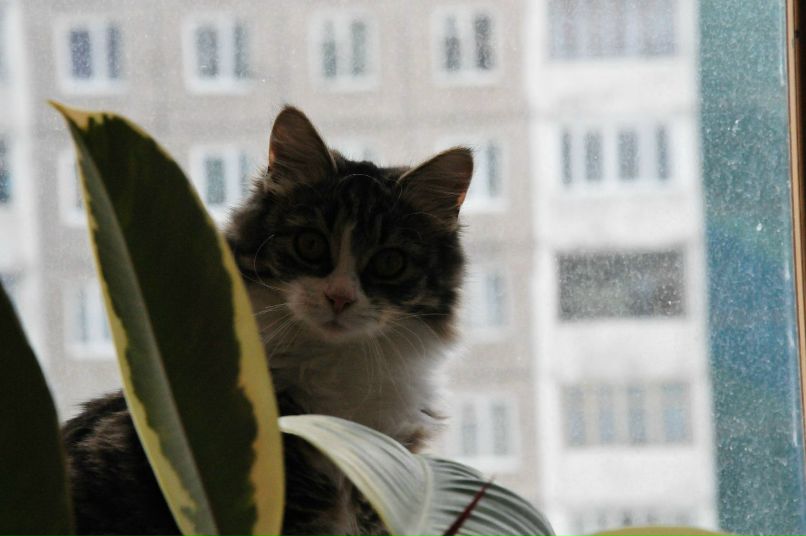 Антон Салянский | Мурманск