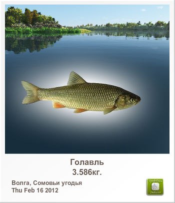 Александр Силин | Великие Луки