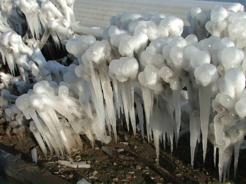 Valentina Tarasevich | Ялта