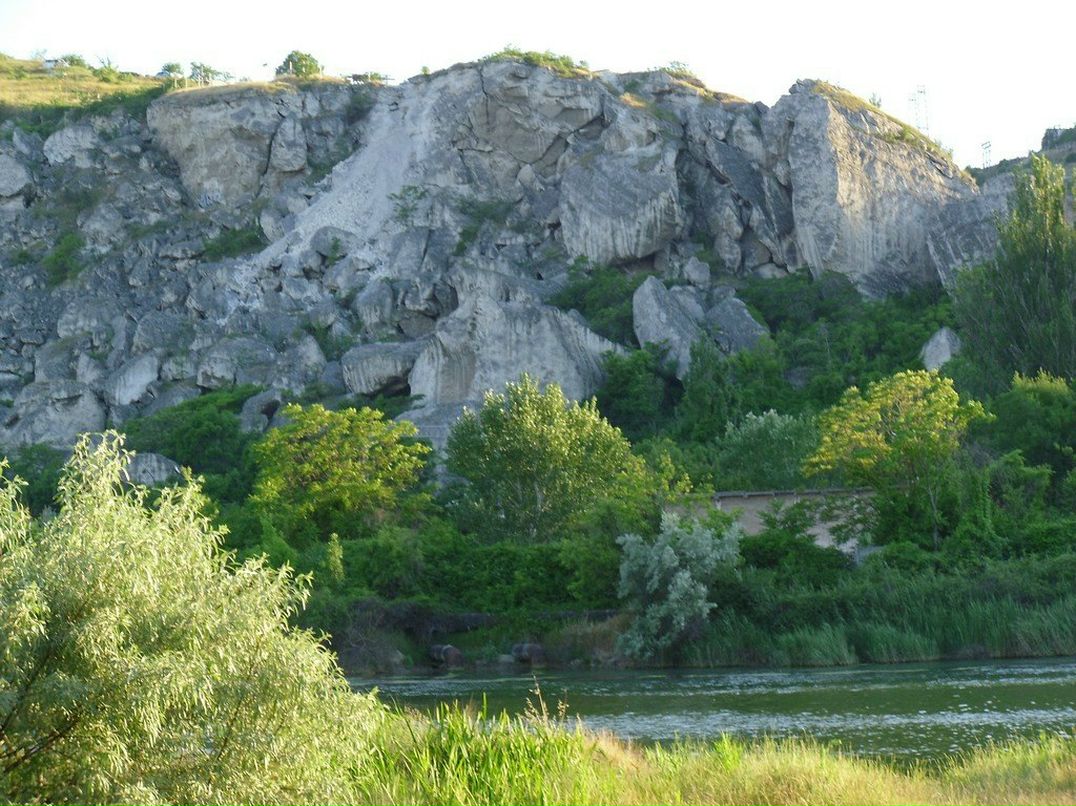 Инна Златкус | Несвиж