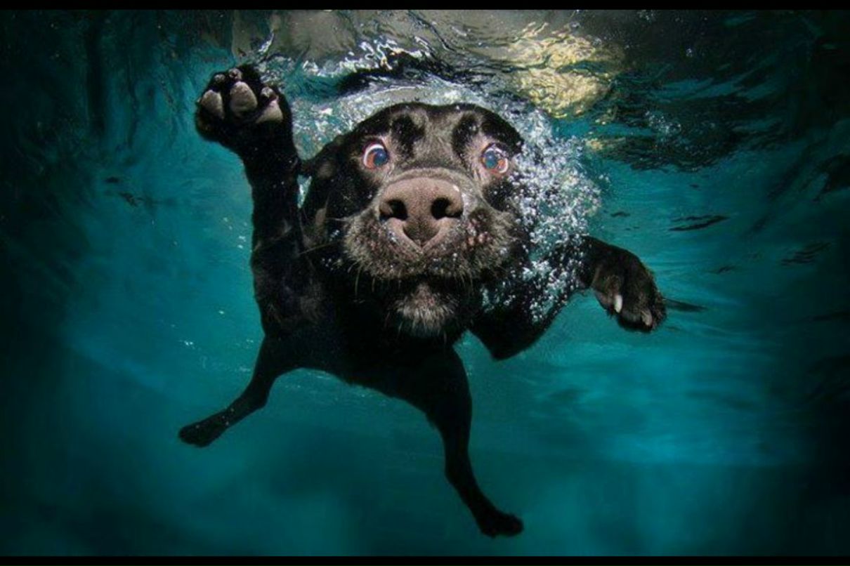 Алиса Иванова | Харьков