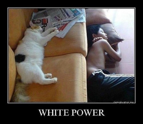 Дима Иванов | 