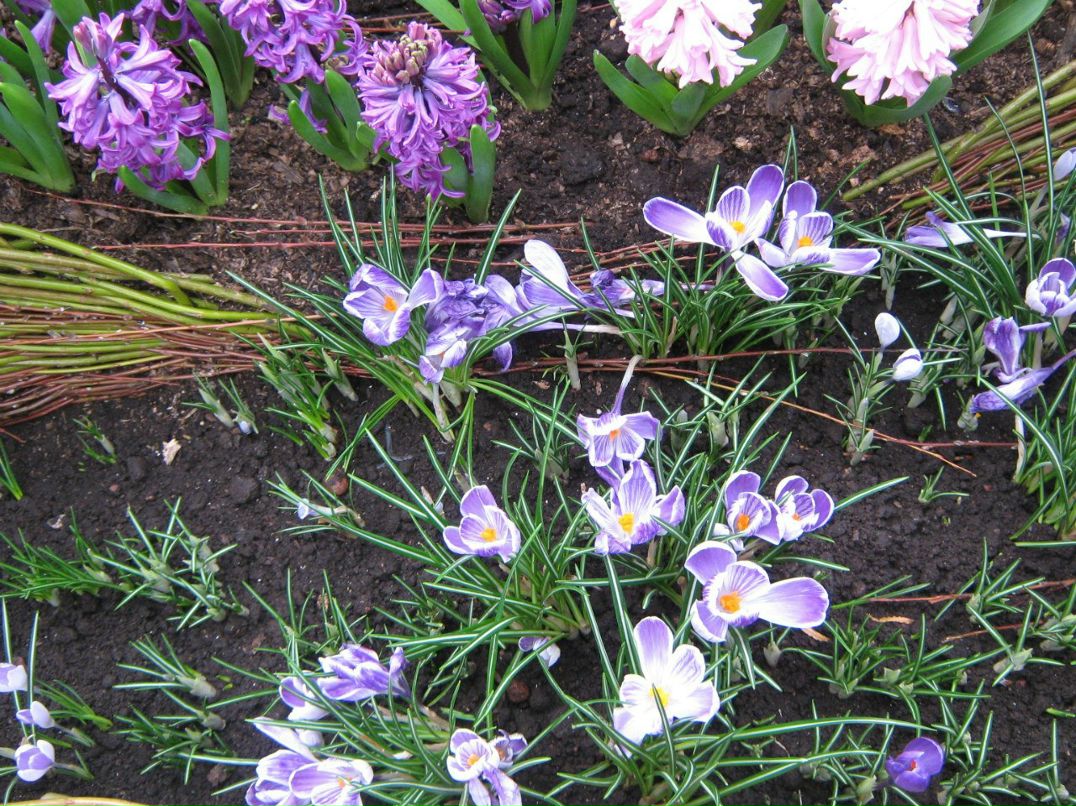 Андрей Михайлов Анатольевич | Ижевск