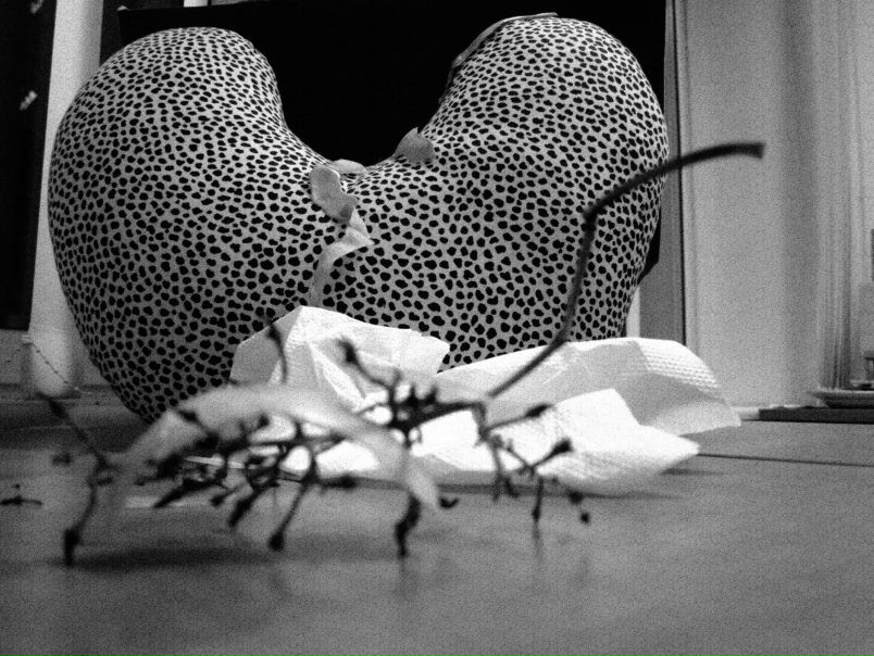 №20, Даша Ерёмка, Харьков №20, Даша Ерёмка, Харьков