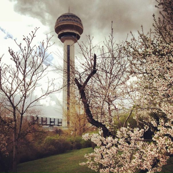 №10, Виктория Карадаг, 38 лет №10, Виктория Карадаг, 38 лет