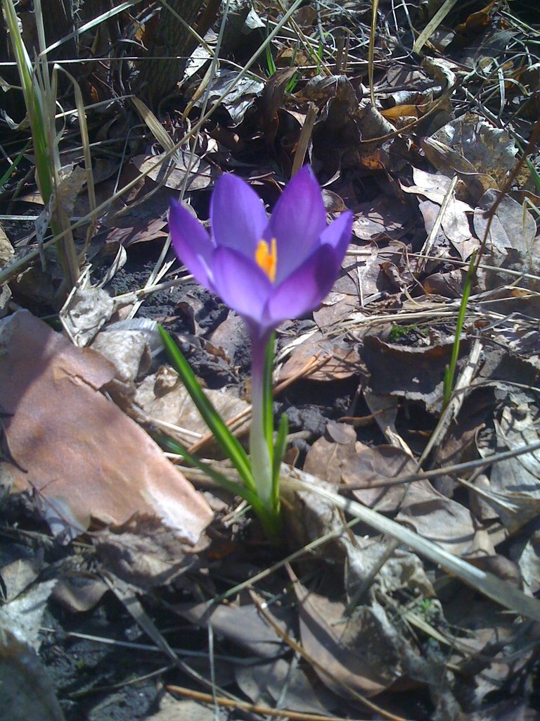 Александр Куликов | Днепр (Днепропетровск)