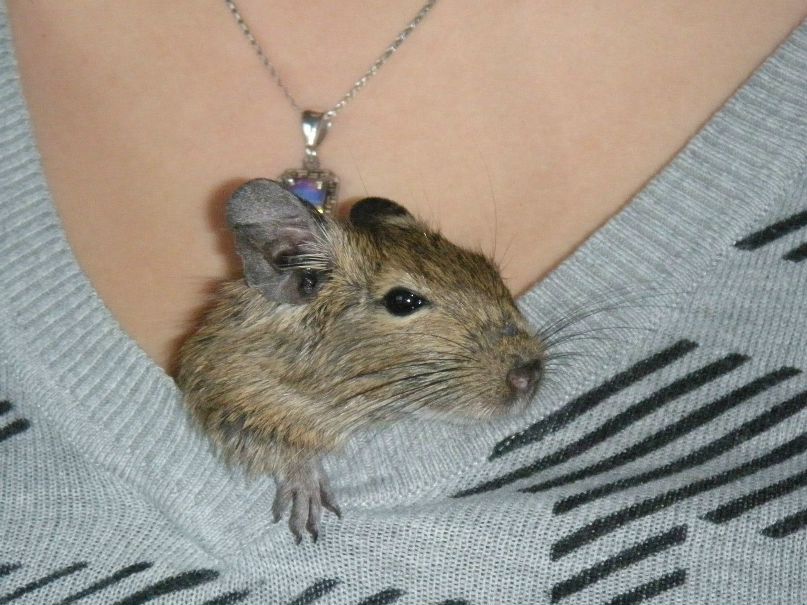 Оля Рыдзицка | Szczecin