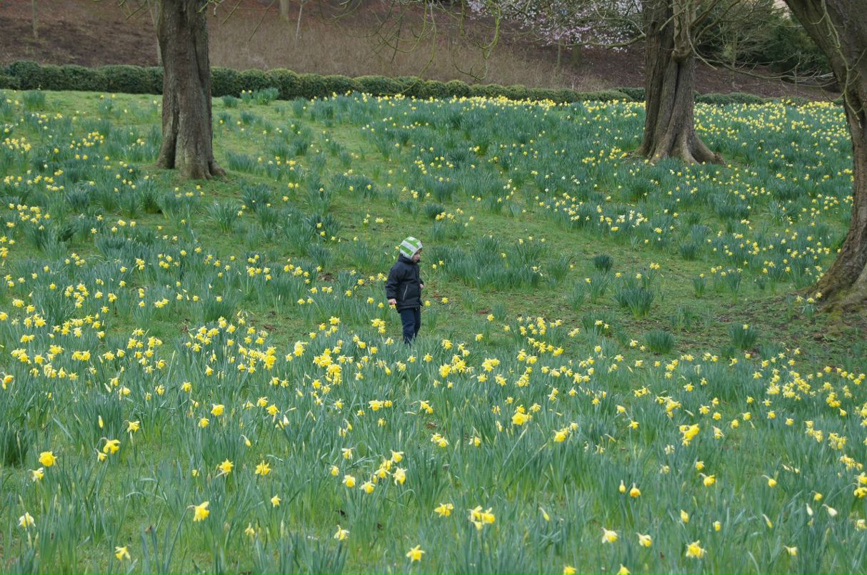 Аня Исакий | Ставрополь