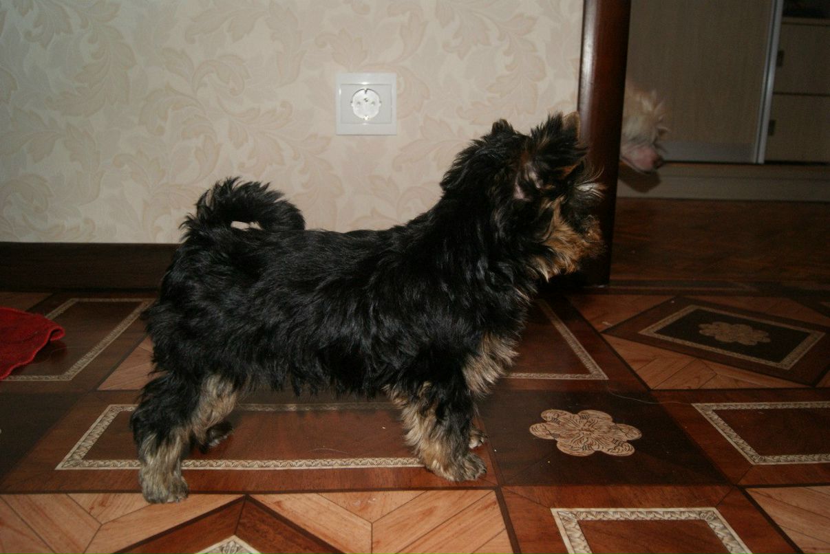 Евгения Рожкова | Самара