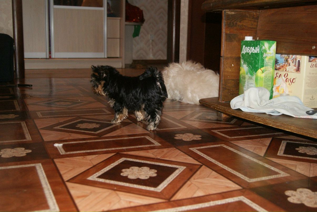 Евгения Рожкова | Самара