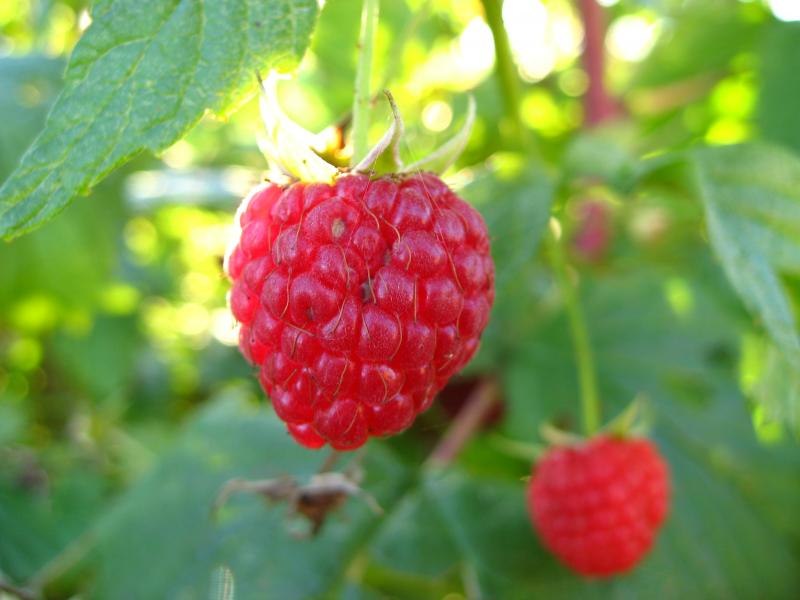 Илья Овчинников Малюн | Москва